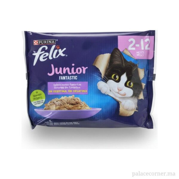 Purina Felix Junior Fantastic - Sélection de Favoris en Gelée